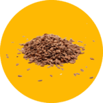 Seeds