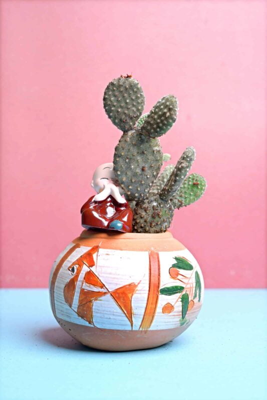 Opuntia microdasys
