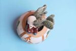 Attractive Opuntia microdasys - Bunny ears cactus - Image 3