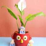 peace lily plant