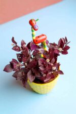 Good Attractive Alternanthera sessilis - Red Ponnganni Spinach Plant - Image 3