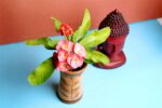 Beautiful Euphorbia Milii - Crown of throns Plant - Image 2