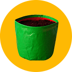 Grow bag