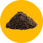 Manure