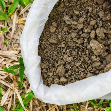 cow dung manure
