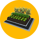 Terrace gardening