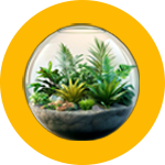 Terrarium