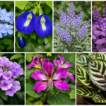 Blue colored plants