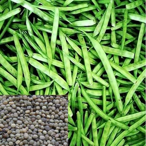 cluster beans seeds