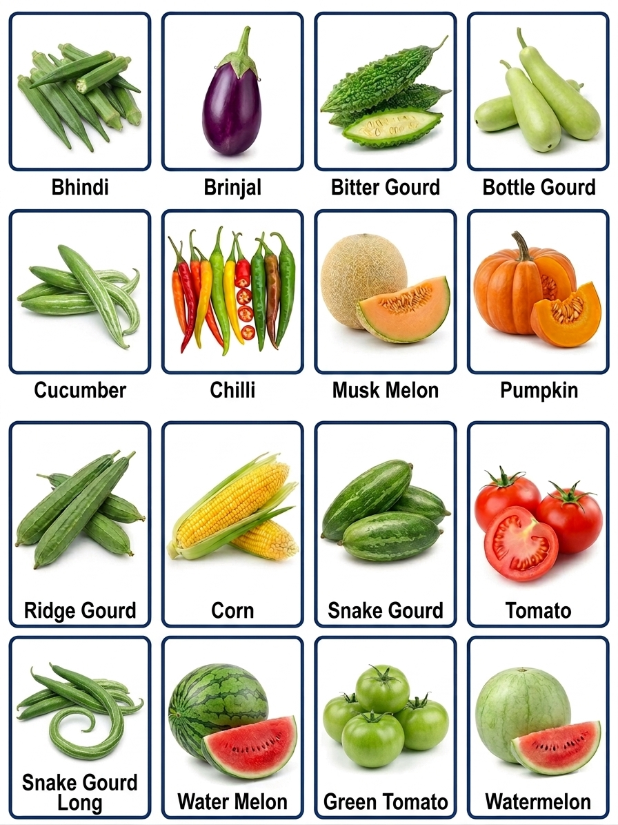 hybrid vegetable seeds hybrid vegetable seeds