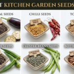 The Kitchen garden​