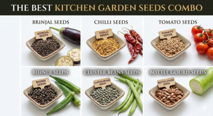 The Kitchen garden​